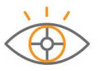 Vision Icon